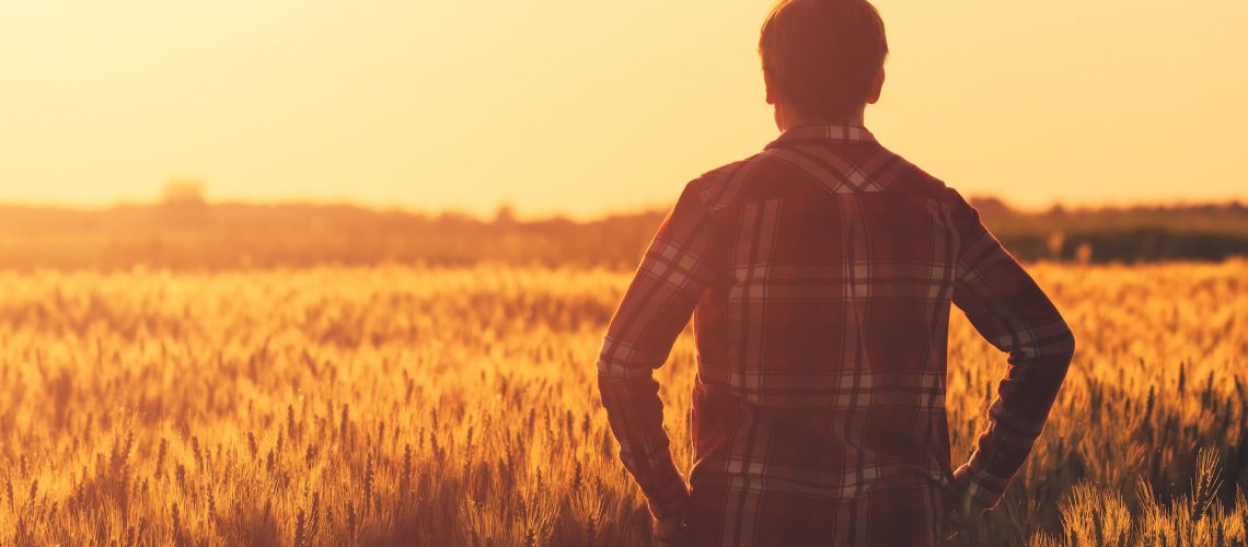 shutterstock_659087254